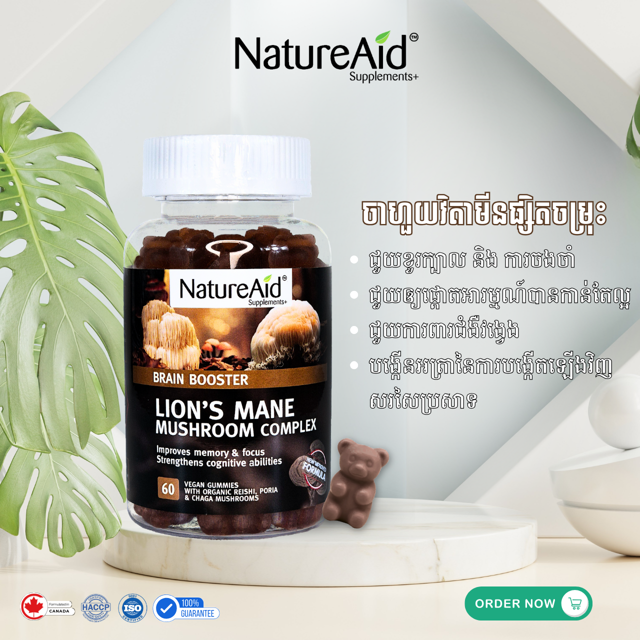 NatureAid Cambodia - Lion's Mane Mushroom Complex - BRAIN BOOSTER gummySupplements. Best vitamins and supplements in Phnom Penh, Cambodia. Buy online www.natureaid.co, NatureAid grab, delishop, norm+, Aosot Pharmacy, Health Time Pharmacy, Point Santé Pharmacie, Community Pharmacy, Makro, Chip Mong, Devalda Pharmacy