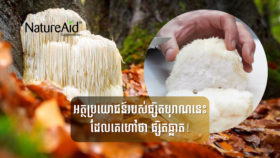 Lion's mane supplement vitamin by NatureAid Cambodia in Phnom Penh Siem Reap best quality www.natureaid.co