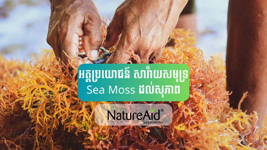 Sea Moss Gummies Supplement vitamin by NatureAid Cambodia Phnom Penh Khmer